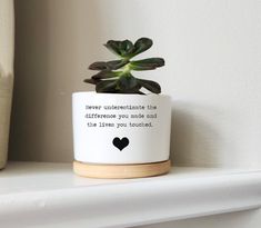 a potted plant sitting on top of a white shelf