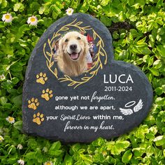 a memorial stone with a dog's photo on it in the middle of some flowers