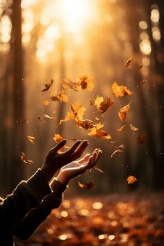 a person is throwing leaves in the air with their hands and fingers as they fly through the air