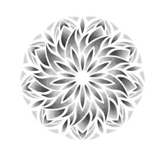 a black and white drawing of a flower