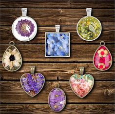 six different colored flowers in glass pendants on a wooden table with wood planks