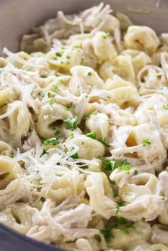 pasta with chicken and parmesan cheese in a pan