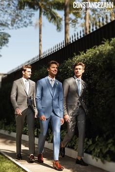 three men in suits and ties are standing on a sidewalk near some bushes, one man is wearing a blue suit