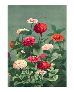 a painting of flowers with green leaves on the bottom and red, pink, yellow and white flowers in the middle