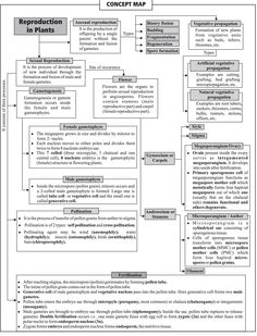 a diagram that shows the steps in how to write an outline for a research paper