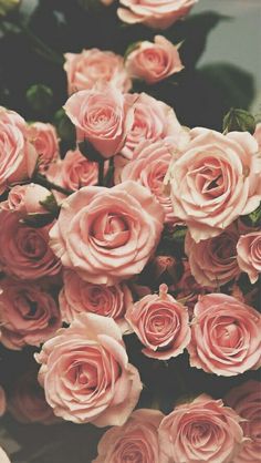 a bouquet of pink roses sitting on top of a table