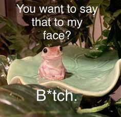 a pink frog sitting on top of a green leafy plant next to a quote that reads, you want to say that to my face?