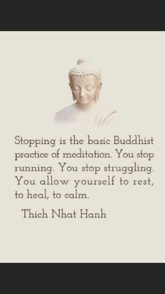 buddha quote with the words stopping is the basic buddhist practice of meditation