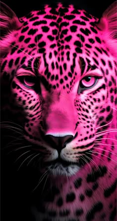 Pink Leopard Wallpaper, Girly Backgrounds, Iphone Wallpaper Texture, Tiger Artwork, Leopard Art, Glittery Wallpaper, Lion King Art, Big Cats Art, Phone Wallpaper Pink