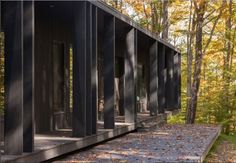 a black building in the woods with lots of trees around it and leaves on the ground