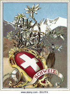 a drawing of flowers in a vase with a banner around it that says schweiz