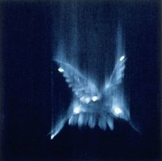 a blurry image of a bird flying in the night sky with its wings spread out