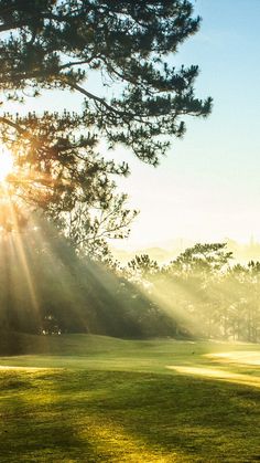 the sun shines brightly through the trees on this golf course