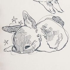 a drawing of a rabbit laying on its back