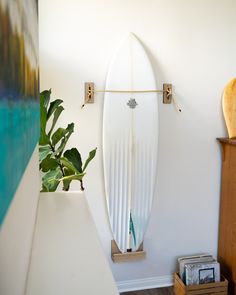 a surfboard mounted to the side of a wall next to a potted plant