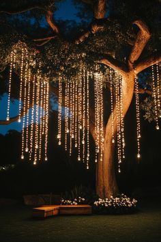 a tree with lights hanging from it's branches