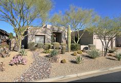 a home with cactus and cacti in the front yard