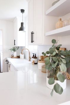 a kitchen with white counter tops and plants in vases on the counter top next to the sink