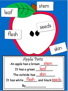 an apple is shown with words and pictures to describe the different parts of the fruit