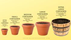 there are four different types of plants in the potted planter, each with its own name and description