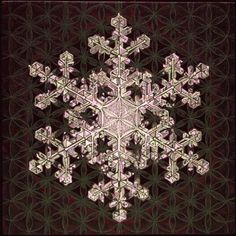 a snowflake is shown in the middle of a black and white photo with an intricate design