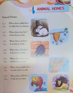 an animal worksheet with pictures of animals and their names in english or spanish