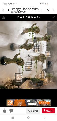 the facebook page is displaying an image of plants hanging from wire and lanterns on them