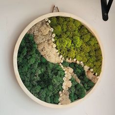 a wooden bowl with moss and rocks in it on a wall above a pair of scissors