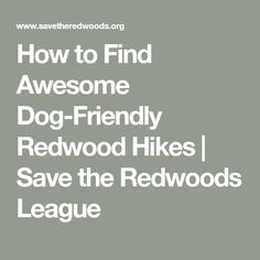 the words how to find awesome dog - friendly redwood hikes save the redwood league