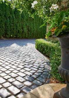 a brick paved driveway surrounded by trees and shrubbery