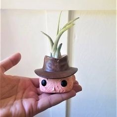 a hand holding a small potted plant wearing a hat