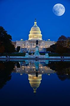 the capitol building lit up at night with its reflection in the water and trees around it