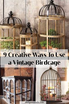 vintage birdcages Colourful Backyard, Vintage Bird Cage Decor, Birdcage Planter, Diy Bird Cage, Antique Bird Cages, Bird Cage Centerpiece, Vintage Birdcage, Small Bird Cage, Hanging Bird Cage