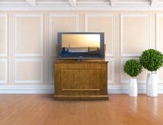 a television sitting on top of a wooden cabinet next to two vases with plants