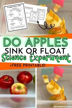 an image of some apples and other things to do in the sink or float science experiment