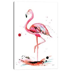 a pink flamingo is standing in the water