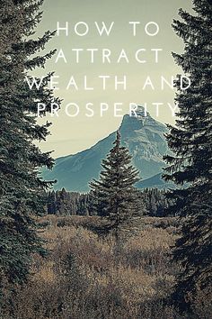 the words how to attract well and prosperity are in front of pine trees with mountains in the background