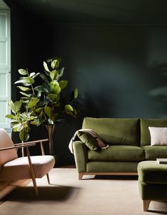 a living room filled with furniture and a green plant in the middle of the room