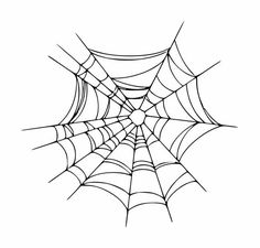 a spider web on a white background