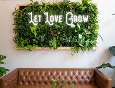 a living room filled with lots of greenery on the wall next to a couch