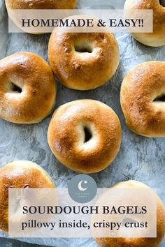 homemade and easy sourdough bagels are shown on a baking sheet with text overlay