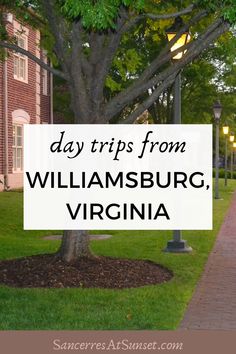 the words day trips from williamsburg, virginia on a sign in front of a tree