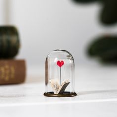 a small glass dome with a red heart on top and an open book underneath it