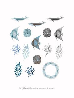 an image of different types of sea animals on white paper with blue watercolors