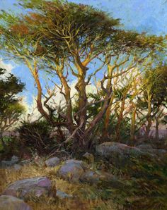 an oil painting of trees and rocks on a sunny day