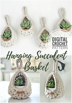 crochet hanging basket with succulents in it and the instructions for how to