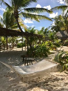 a hammock on the beach with palm trees