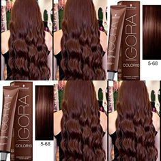 5.68 Hair Color, Dark Light Brown Hair, Chocolate Auburn Hair, Colors For 2024, Cinnamon Hair, Brown Hair Looks, Hair Tint, Hair Color Caramel