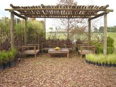 a wooden bench sitting under a pergoline covered arbor with potted plants in the foreground