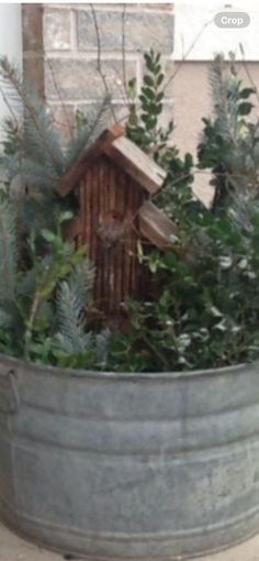 a bird house in a bucket filled with plants